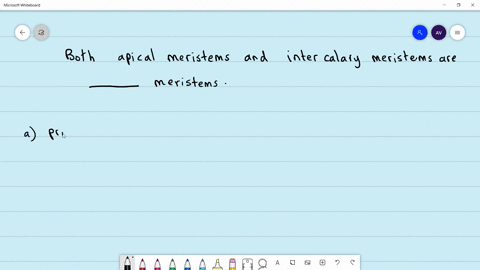 both-apical-meristems-and-intercalary-meristems-are-meristems-a-primary-b-secondary-c-lateral-d-both