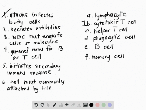 match-each-type-of-defensive-cell-with-its-function-or-description-a-lymphocyte-b-cytotoxic-t-cell-c