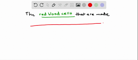 the-production-of-red-blood-cells-a-ceases-if-the-hematocrit-falls-below-normal-b-is-stimulated-by-e