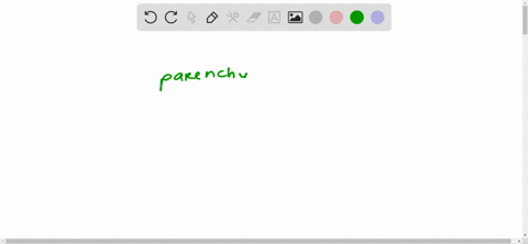 all-plant-growth-arises-from-________-a-parenchyma-b-sclerenchyma-c-collenchyma-d-mesophyll