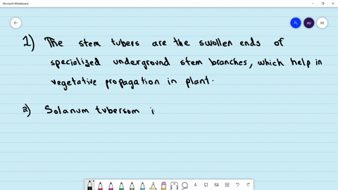 read-the-following-statements-and-select-the-correct-option-statement-1-the-stem-tubers-are-the-swol