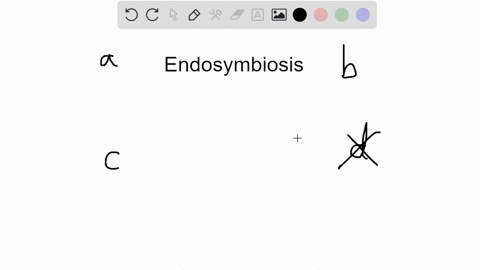 one-piece-of-evidence-supporting-the-endosymbiotic-theory-for-the-origin-of-eukaryotic-cells-is-that