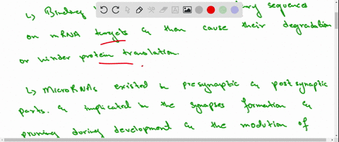 micrornas-are-small-rna-molecules-that-bind-to-the-3prime-end-of-mrnas-and-suppress-trandation-see-c