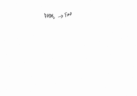 describe-electron-transport-and-the-process-of-oxidative-phosphorylation-calculate-the-atp-from-th-5
