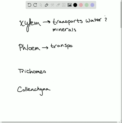 which-of-the-following-plant-cell-type-is-mismatched-to-its-function-a-xylem-conducts-mineral-nutrie