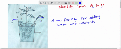 what-indicates-mathrma-to-mathrmd-in-the-given-figure-a-a-cotton-b-aerating-tube-c-funnel-for-adding