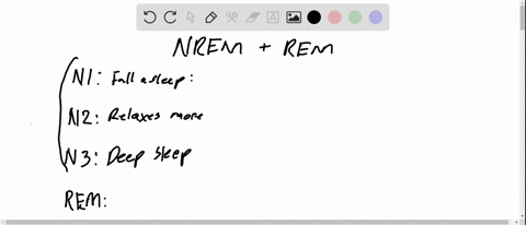 what-is-the-difference-between-rem-and-nrem-sleep-which-type-lasts-longer-during-a-nights-sleep