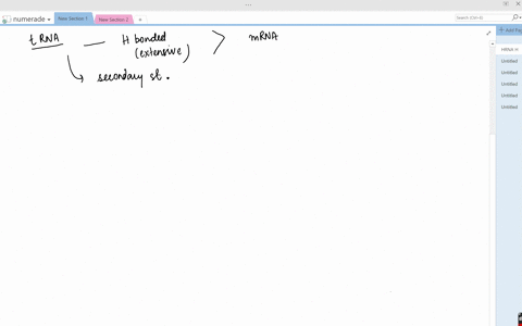 would-you-expect-trna-or-mrna-to-be-more-extensively-hydrogen-bonded-why