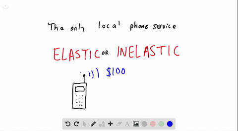 there-is-only-one-company-offering-local-telephone-service-in-a-town-would-you-expect-the-elasticity