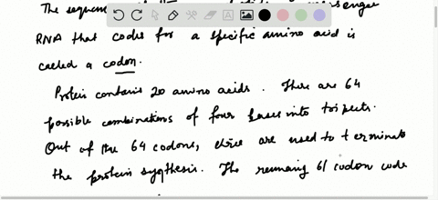 which-amino-acids-have-the-most-possible-codons-which-have-the-fewest