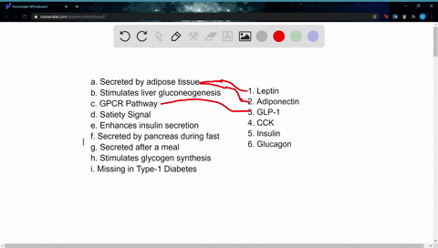 many-signals-match-the-characteristic-a-i-with-the-appropriate-hormone-1-6-a-secreted-by-adipose-tis