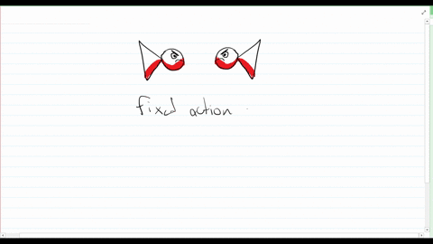 fixed-action-patterns-are-initiated-by-external-stimuli-called-a-agonistic-behavior-b-altruistic-beh