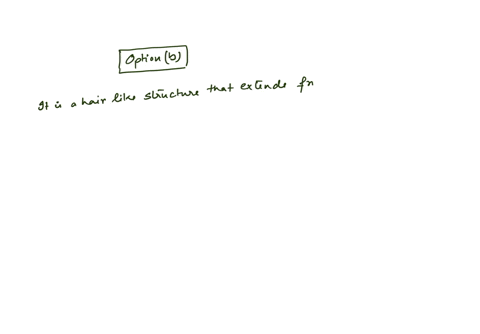 which-of-these-locomotor-organs-would-likely-be-the-shortest-a-a-flagellum-b-a-cilium-c-an-extende-2