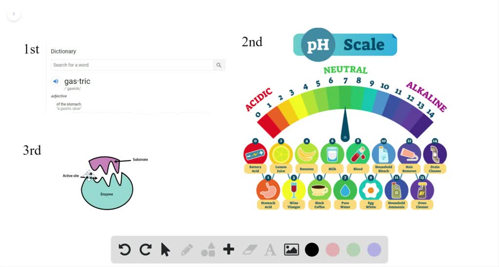 SOLVEDGastric enzymes work best in an environment with a pH of (A) 3