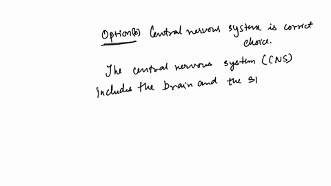 the-neurons-of-the-spinal-cord-are-part-of-the-a-somatic-nervous-system-b-central-nervous-system-c-a