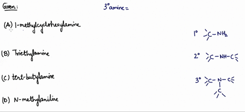 which-of-the-following-is-a-3circ-amine-a-1-methylcyclohexylamine-b-triethylamine-c-tert-butylamine-