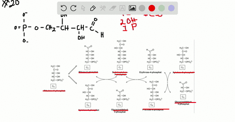 the-following-compound-is-an-intermediate-in-the-pentose-phosphate-pathway-an-alternative-route-for-