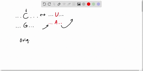 based-on-its-sequence-similarity-to-apobecl-which-deaminates-cs-to-us-in-rna-activation-induced-deam