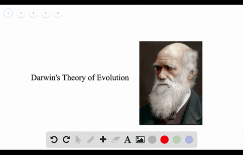 write-about-a-theme-evolution-in-a-short-essay-100-150-words-discuss-darwins-view-of-how-natural-sel