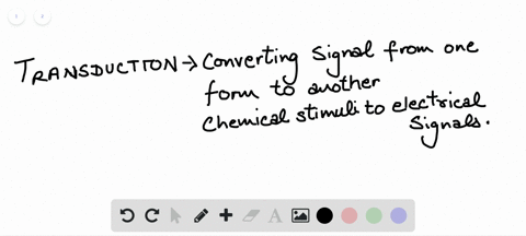 if-a-persons-cold-receptors-no-longer-convert-cold-sensory-signals-into-electrical-signals-that-pers
