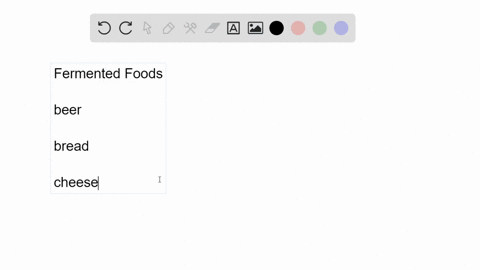 explain-how-the-discovery-of-fermented-foods-likely-benefited-our-ancestors-5