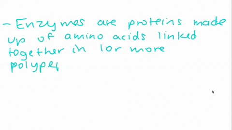 describe-the-structure-and-function-of-enzymes-how-is-enzyme-activity-regulated