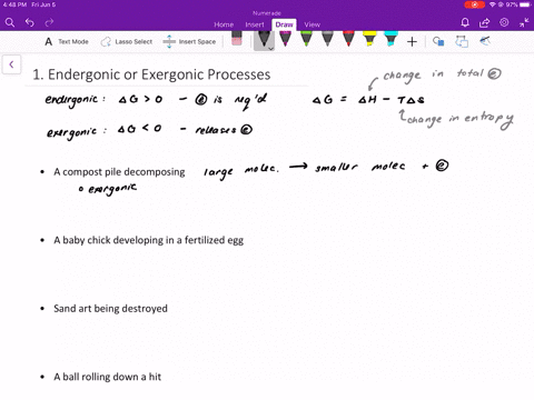 look-at-each-of-the-processes-shown-and-decide-if-it-is-endergonic-or-exergonic-in-each-case-does-en