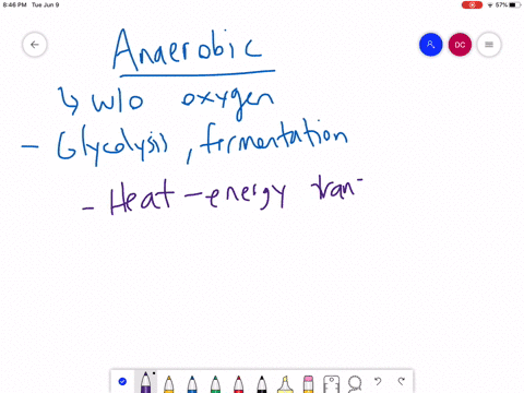 which-of-the-following-is-not-produced-by-an-animal-muscle-cell-operating-under-anaerobic-conditio-4