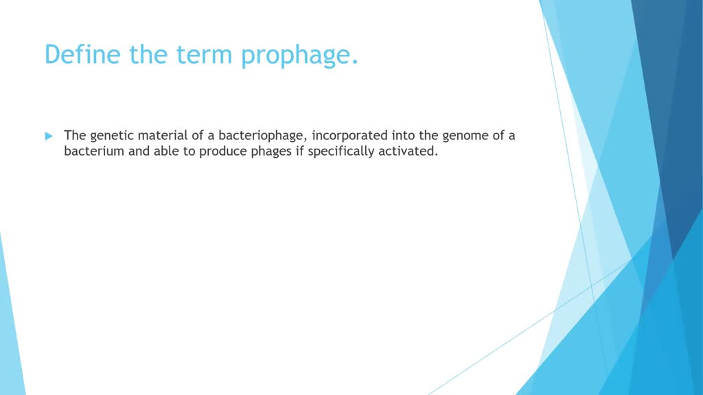 SOLVEDDefine plaque, lysogeny, and prophage.