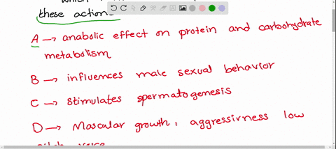 SOLVED:A. Anabolic effect on protein and carbohydrate metabolism. B ...