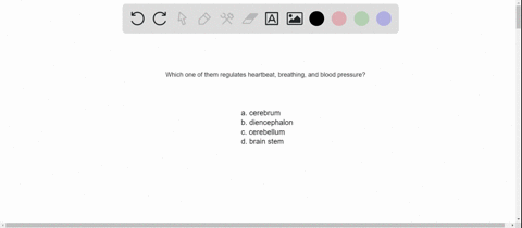the-________-regulates-heartbeat-breathing-and-blood-pressure-a-cerebrum-c-cerebellum-b-diencephalon