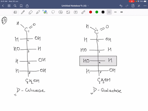 an-infant-with-galactosemia-can-utilize-d-glucose-in-milk-but-not-d-galactose-how-does-the-fischer-p