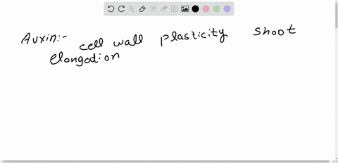 how-does-auxin-affect-the-plasticity-of-the-plant-cell-walls