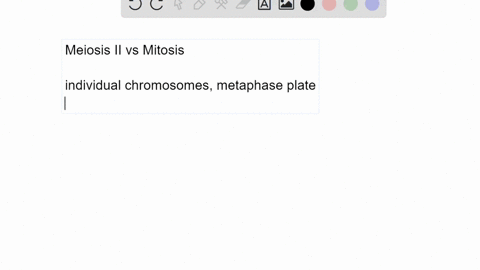 in-what-ways-is-meiosis-ii-similar-to-and-different-from-mitosis-of-a-diploid-cell