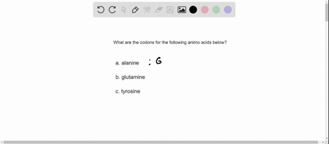 what-are-the-possible-codons-for-each-of-the-following-amino-acids-216-a-alanine-b-glutamine-c-tyros