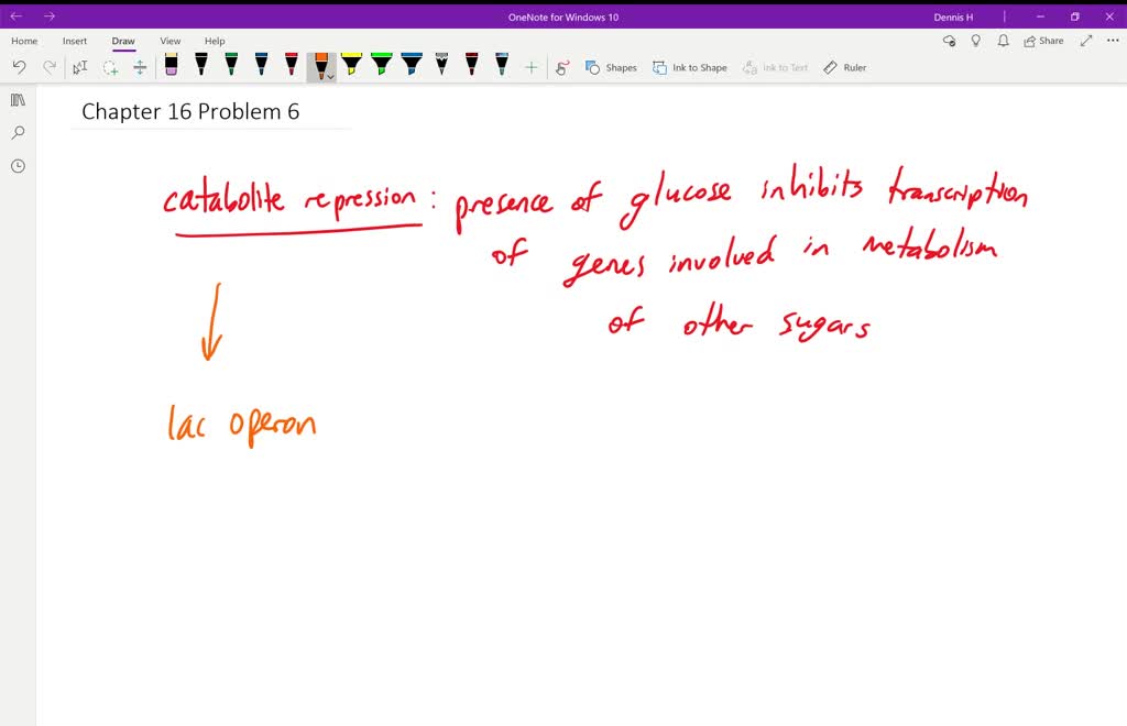 solved-what-is-catabolite-repression-how-does-it-allow-a-bacterial