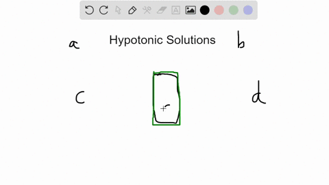 if-you-place-an-animal-cell-into-a-hypotonic-solution-it-will-swell-until-it-pops-however-if-you-put