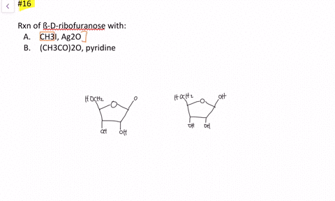 draw-the-products-you-would-obtain-by-reaction-of-beta-mathrmd-ribofuranose-with-a-mathrmch_3-mathrm