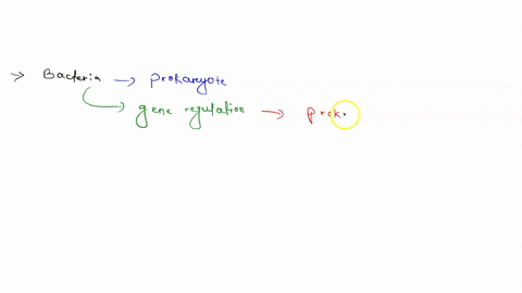 which-of-the-following-is-characteristic-of-genes-and-gene-regulation-in-bacteria-but-not-eukaryotes
