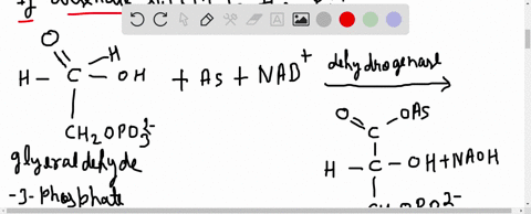 arsenate-poisoning-arsenate-is-structurally-and-chemically-similar-to-inorganic-phosphate-leftmathrm