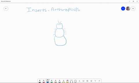 the-body-plan-of-insects-is-composed-of-which-of-the-three-following-regions-a-head-abdomen-and-tr-2