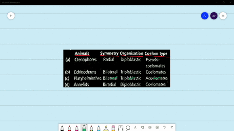 select-the-correct-matching-of-animals-their-symmetry-organisation-and-coelom-type-animals-quad-symm