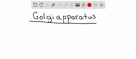 the-golgi-apparatus-a-is-found-only-in-animals-b-is-found-in-prokaryotes-c-is-the-appendage-that-m-2