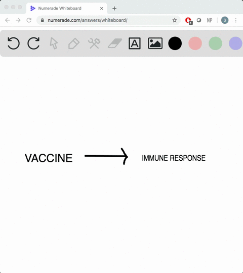 vaccines-_________-a-are-similar-to-viroids-b-are-only-needed-once-c-kill-viruses-d-stimulate-an-imm