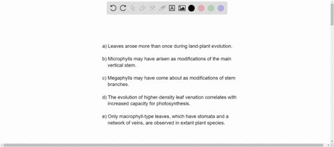 which-of-the-following-is-not-generally-thought-to-be-accurate-with-respect-to-the-evolution-of-le-2