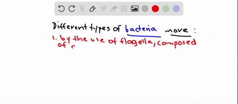 how-do-various-types-of-bacteria-move-a-by-the-use-of-flagella-composed-of-a-filament-hook-and-motor