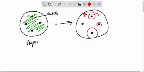 in-a-kirby-bauer-susceptibility-test-the-presence-of-a-zone-of-inhibition-around-disks-containing-an