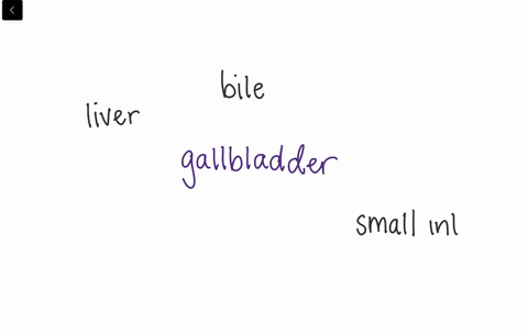 after-surgical-removal-of-an-infected-gallbladder-a-person-must-be-especially-careful-to-restrict-di