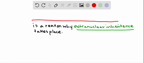 extranuclear-inheritance-occurs-because-a-certain-genes-are-found-on-the-x-chromosome-b-chromosomes-