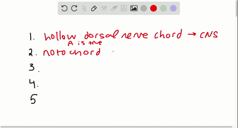 which-of-the-following-statements-bout-common-features-of-chordates-is-true-a-the-dorsal-hollow-nerv